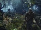 Nya bilder på Witcher 3: Wild Hunt