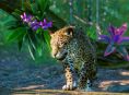 Planet Zoo utökas med fem sydamerikanska djur